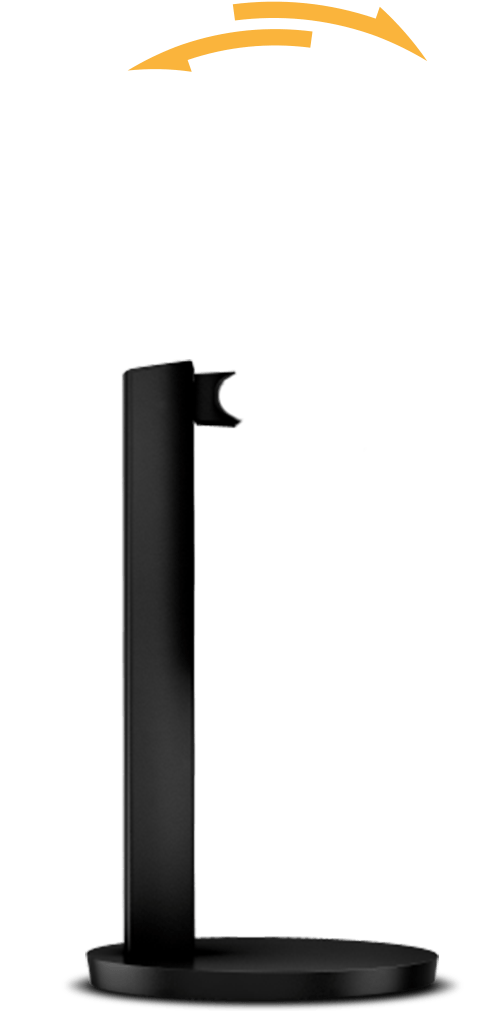 Base Lateral