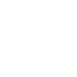 Display Port